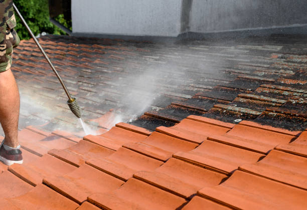 Best Power Washing Near Me  in Ouray, CO