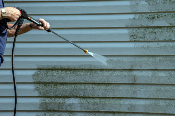 Best Residential Pressure Washing Services  in Ouray, CO