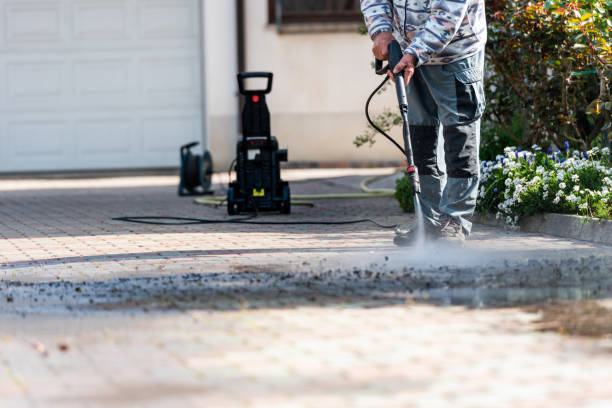 Best Local Pressure Washing Services  in Ouray, CO