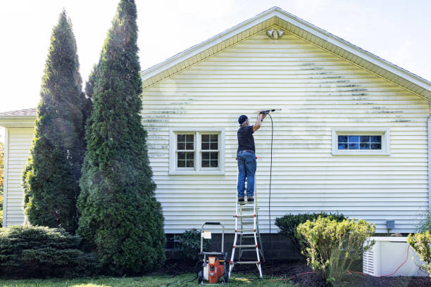 Professional Pressure Washing in Ouray, CO