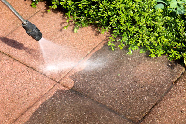 Best Roof Pressure Washing  in Ouray, CO